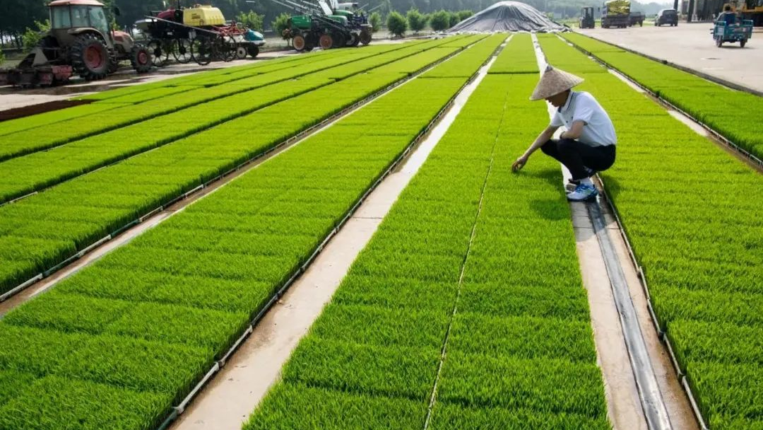 640 (2).png 640 (2).png